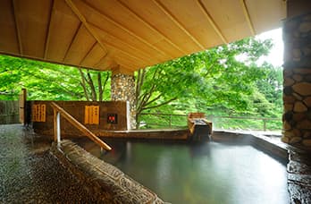 新鉛温泉 愛隣館のイメージ