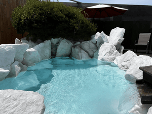 トトノウバイのイメージ