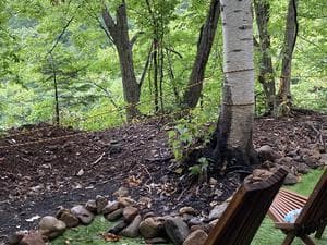 FOREST MUSICのイメージ