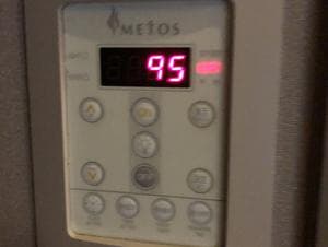 さくらとうさぎのイメージ