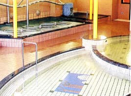 温泉の森のイメージ