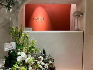 SteaMs.のイメージ