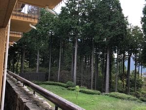 ダイヤモンド箱根ソサエティのイメージ