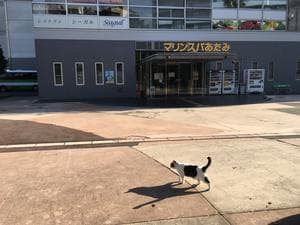 マリンスパあたみのイメージ