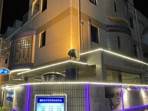 波の上クリスタルホテルのイメージ