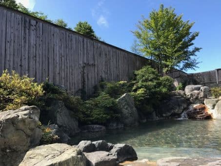 ラビスパ裏磐梯のイメージ