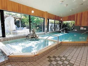 城南天然温泉旅館のイメージ