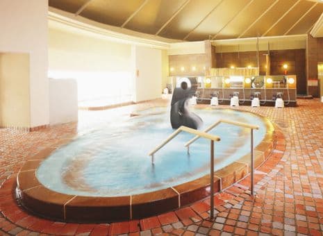 たかのこの湯のイメージ