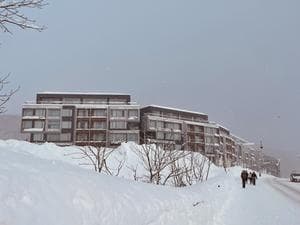 Setsu Niseko (雪ニセコ)のイメージ