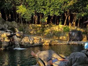 奥矢谷渓谷マザーネイチャーきらりのイメージ