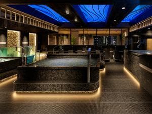 サウナメッツァ 大井町トラックスのイメージ