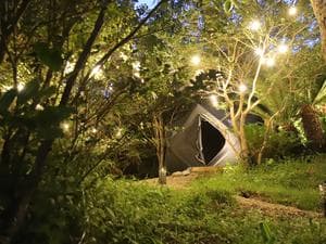 トイグラン ソラシタのイメージ