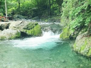 百軒茶屋キャンプ場のイメージ