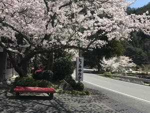 小瀬川温泉のイメージ