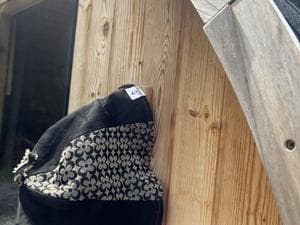 京北サウナKoohen?のイメージ