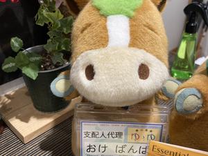 おけと勝山温泉ゆぅゆのイメージ