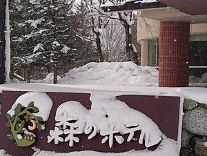 奥入瀬 森のホテルのイメージ