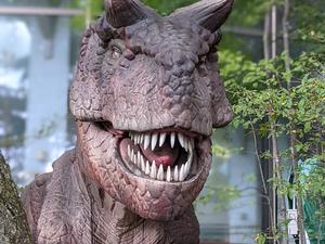 ホテルブランヴェール那須のイメージ