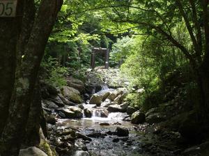 ボスコ・オート・キャンプ・ベースのイメージ