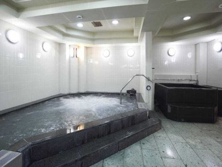 ルネサンス聖路加ガーデンのイメージ