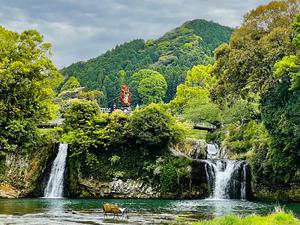 嬉野アウトドアフィールドのイメージ