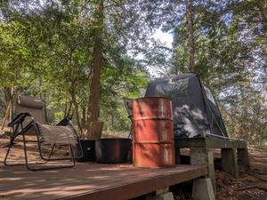 鹿児島市観光農業公園(グリーンファーム)のイメージ