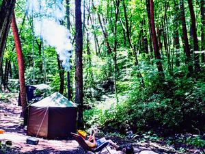 森の楽園ドラゴンサウナのイメージ