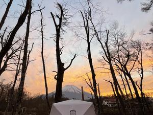 In the moodのイメージ