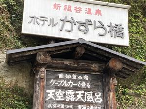 新祖谷温泉 ホテルかずら橋のイメージ