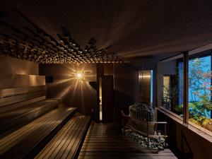 sauna100のイメージ