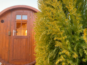 Sauna Sanctuaryのイメージ