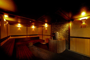 海老名 都の湯(営業終了)のイメージ