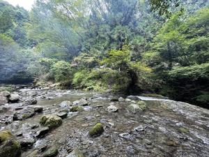 渓流園地のイメージ