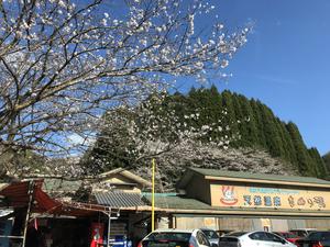 たぬき湯のイメージ