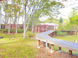 ゆと森倶楽部のイメージ