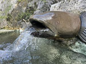 UNAGI SAUNAのイメージ