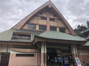 祖谷渓温泉 ホテル秘境の湯のイメージ