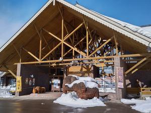 北欧の杜公園のイメージ