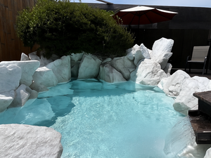 トトノウバイのイメージ