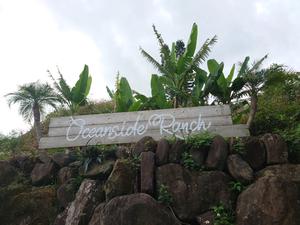 Oceanside Ranch(オーシャンサイドランチ)のイメージ
