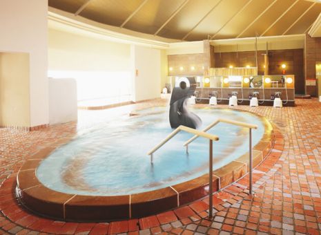 たかのこの湯のイメージ