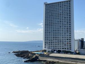 プレジデント椿のイメージ