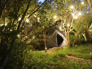 トイグラン ソラシタのイメージ